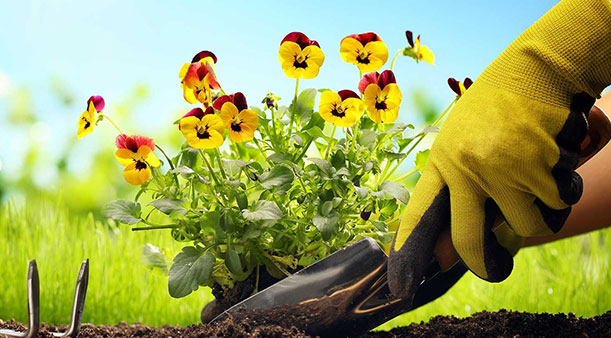 ما هي قفازات العمل المستخدمة؟